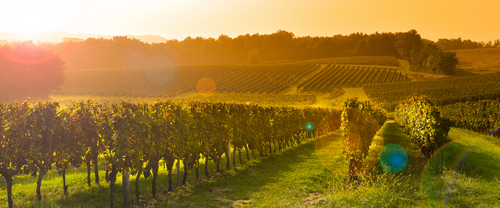 Best wine regions in Europe