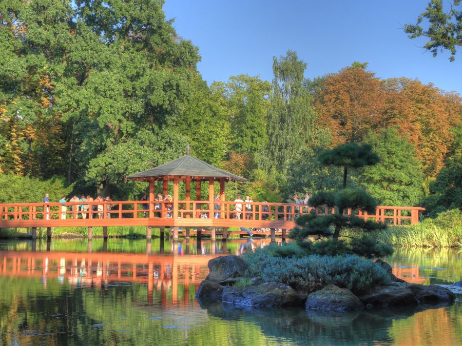 Japanese Garden