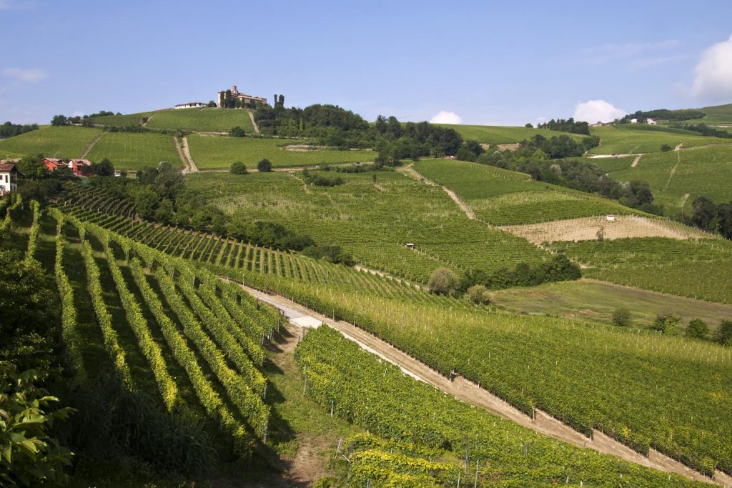 Langhe hills