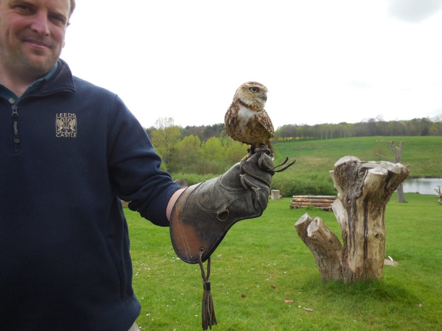 Bird of Prey Centre