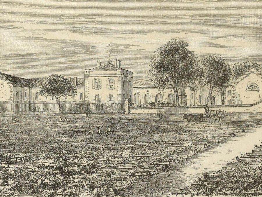 Château Lynch-Bages and Bages