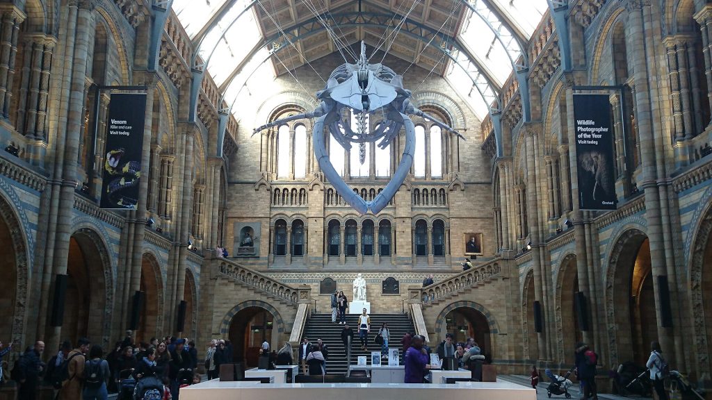 Natural History Museum