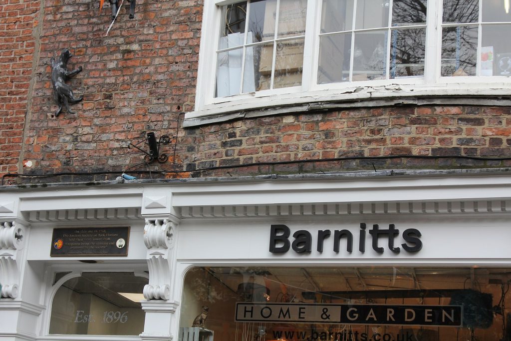 York Cat Trail