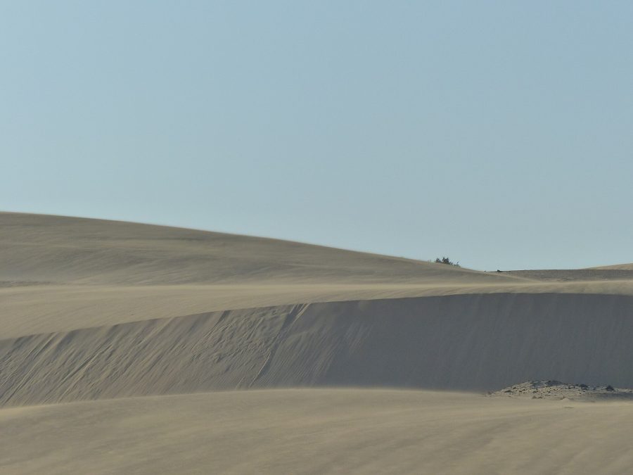 Corralejo dunes