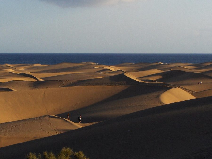 Maspalomas dunes