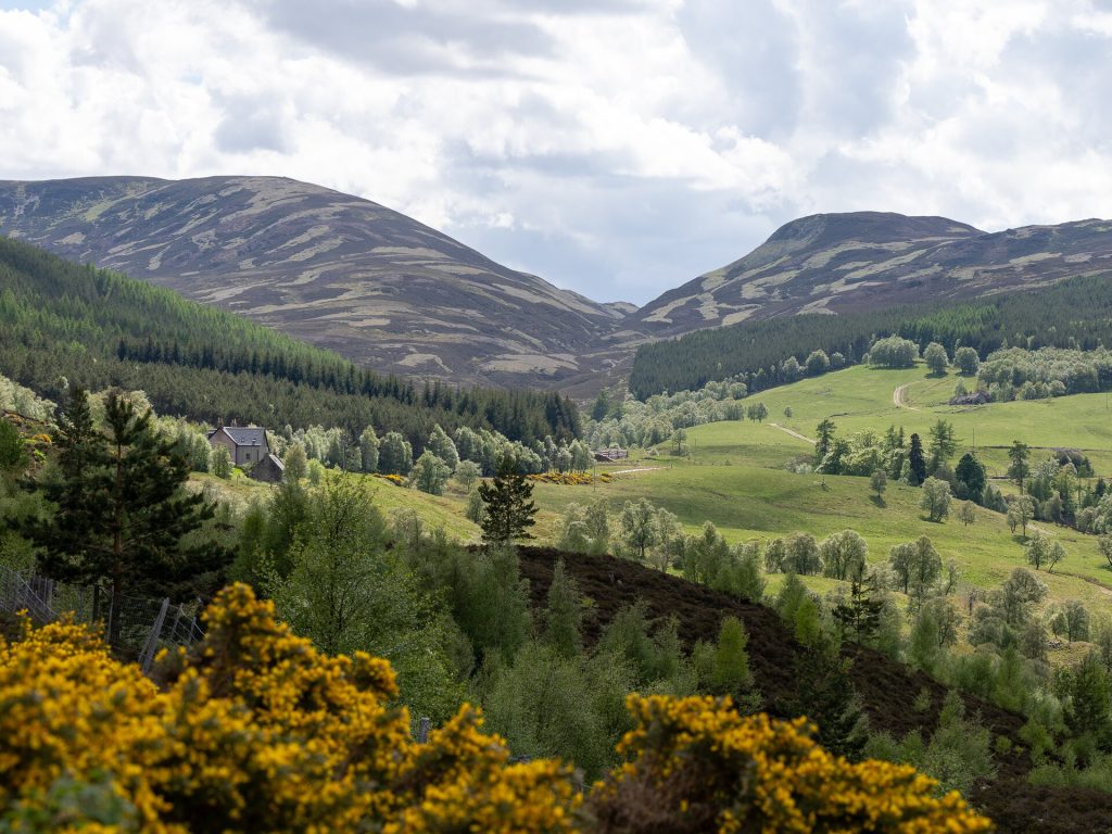 The Cairngorms