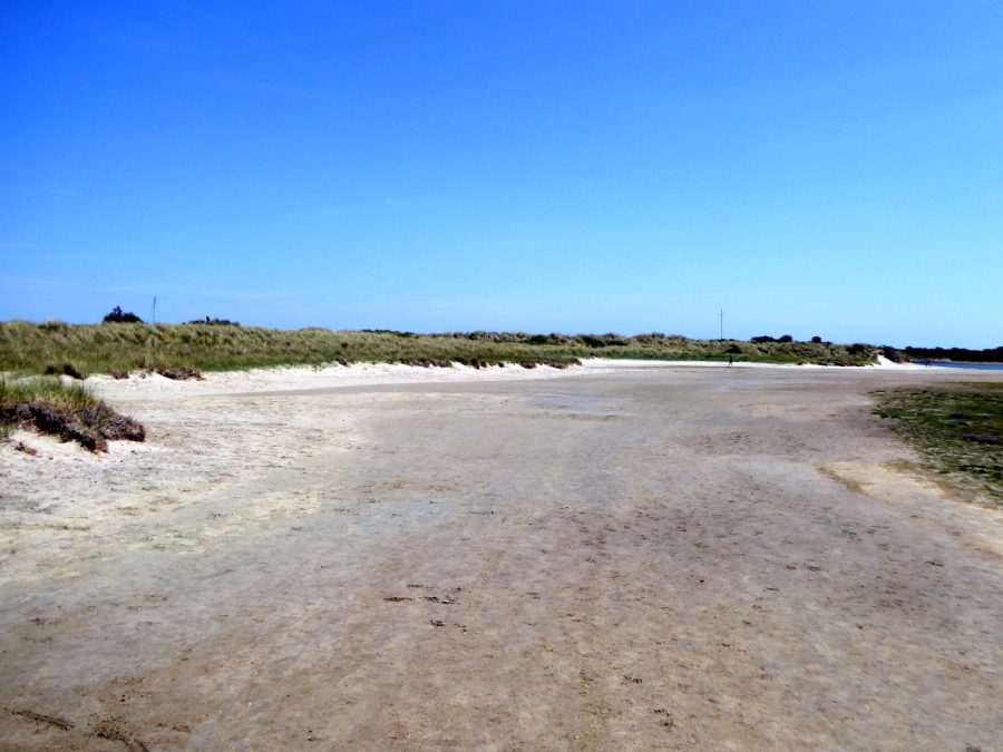 East Head