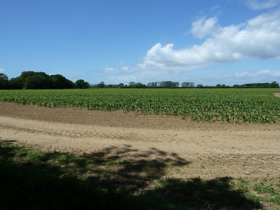 Salterns Way