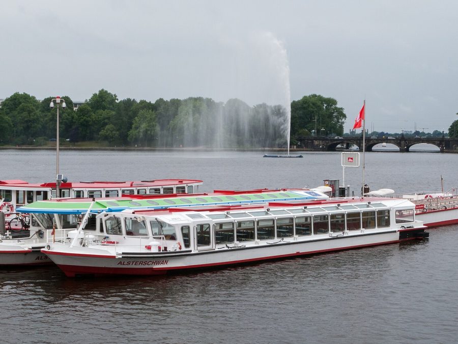 Binnenalster and the Alster tree