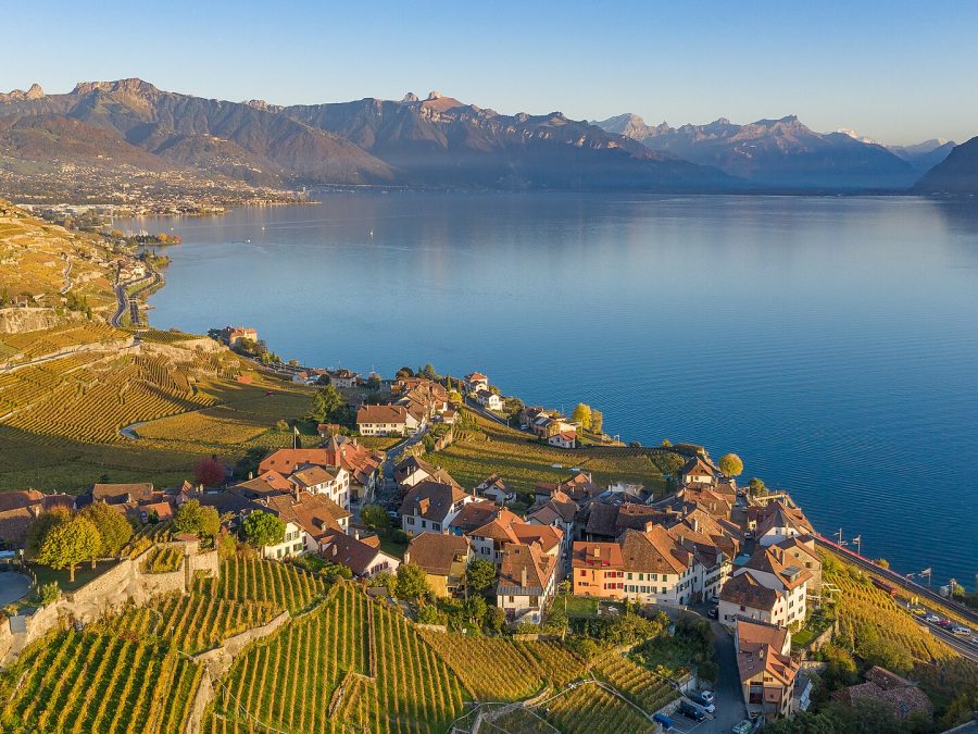 Lavaux vineyards