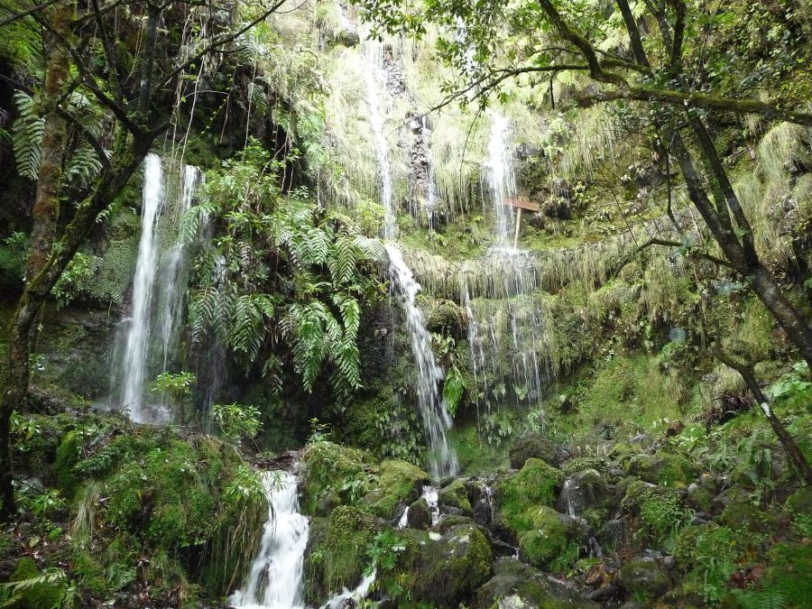 Levada do Caldeirão Verde